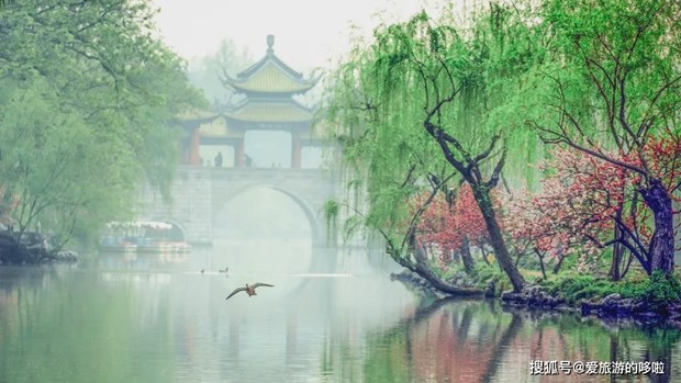 SensingChina is where you can get the most updated info about China when planning travel, study, and do business...
