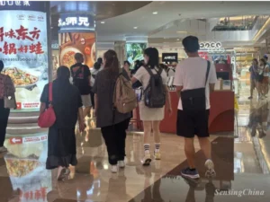 The Great Cross-border Shopping Spree: Unraveling the Hong Kong to Mainland China Phenomenon
