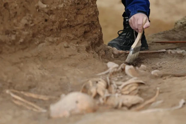 archaeological excavation site