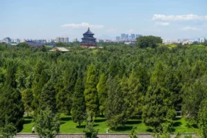 green Beijing City